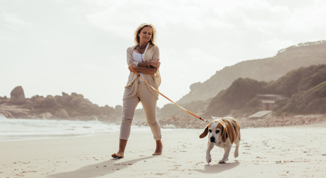 Mature woman walking her dog on the beach