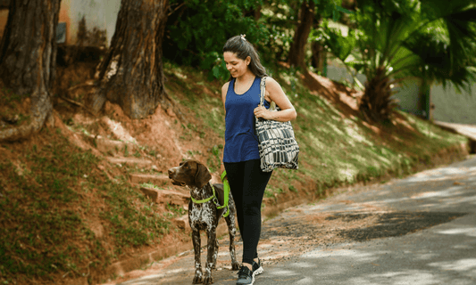 Will Creatine Make Me Bulky? - Nutra-life blog